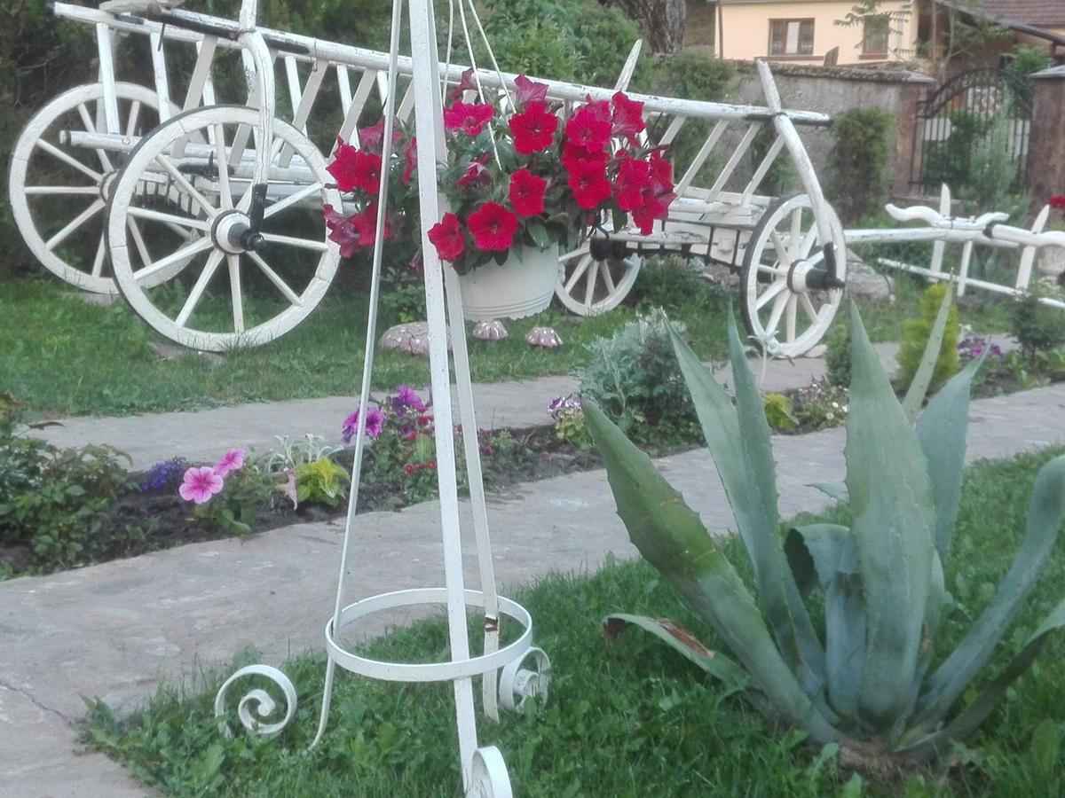 Casa De Vacanta Silvia Varmaga Vărmaga Exterior foto